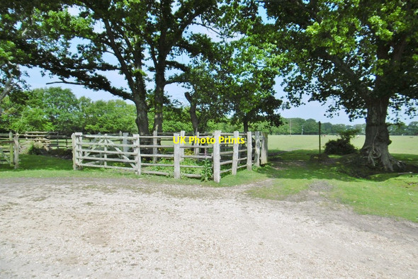 Photo 6"x4" Pilley, pound Bull Hill\/SZ3398 c2015