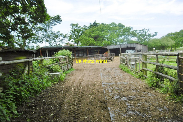 Photo 6"x4" Pilley, farmyard Bull Hill\/SZ3398 c2015