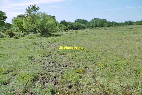 Photo 6"x4" Pilley, ditch Bull Hill\/SZ3398 c2015