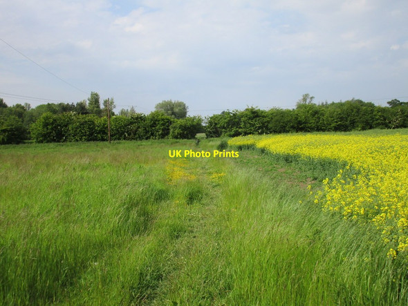 Photo 6"x4" The Minster Way north of Kilnsea Kilnwick c2015