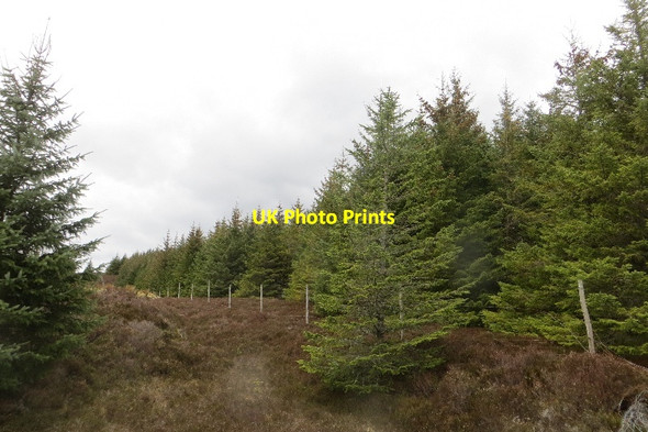Photo 6"x4" An old fence Carn Chrom c2015