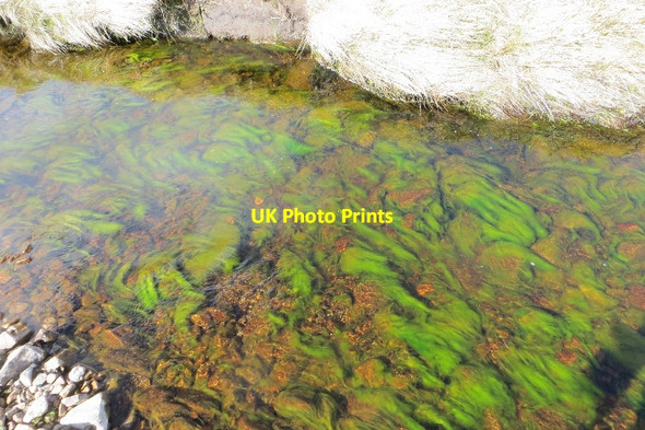Photo 6"x4" Allt na Craoibhe-caorainn Thiefsbush Hill c2015