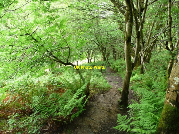 Photo 6"x4" Public footpath descending to Penamser Road Porthmadog c2015