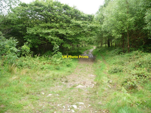 Photo 6"x4" Public footpath following a farm track Porthmadog c2015