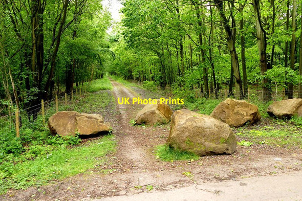 Photo 6"x4" Disused railway alignment in Clipstone Forest Rainworth c2015