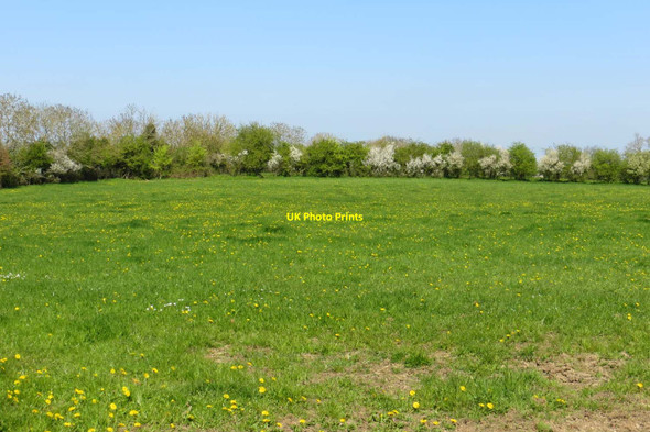 Photo 6"x4" A field on Blackthorn Hill Launton c2015
