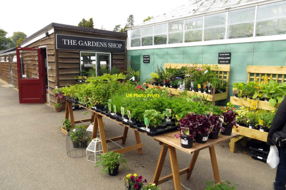 Photo 6"x4" The Gardens Shop at Blenheim Palace Woodstock\/SP4416 c2015