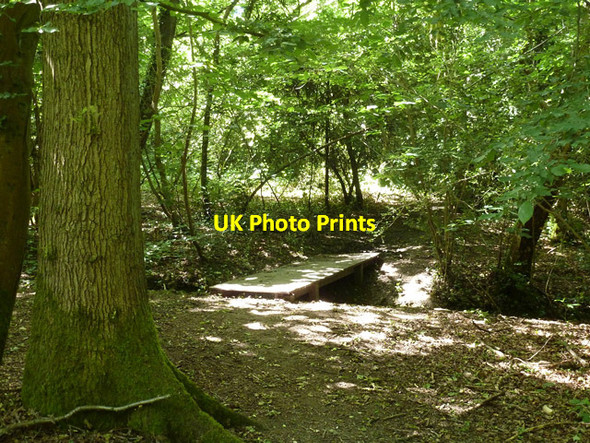 Photo 6"x4" Footbridge, Stanmore Common Stanmore\/TQ1691 c2015