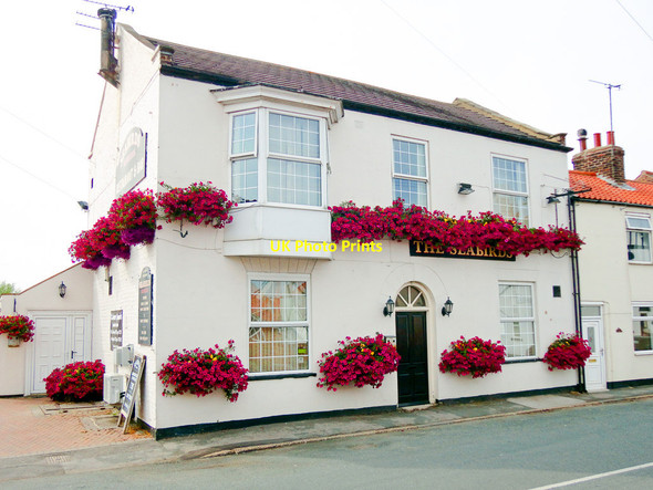 Photo 6"x4" Pretty in Pink, Seabirds Inn, Flamborough Flamborough c2014
