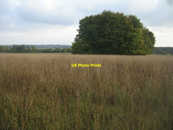 Photo 6"x4" White Barrow Newfound c2015