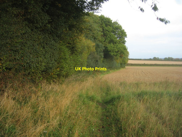 Photo 6"x4" Edge of Mother's Copse Newfound c2015