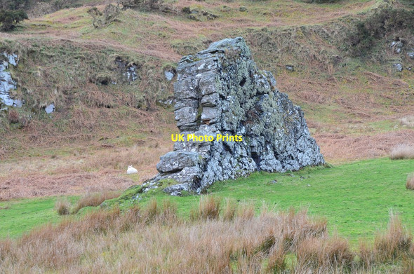 Photo 6"x4" Dyke at Ardmore, Kerrera Port Dubh c2016