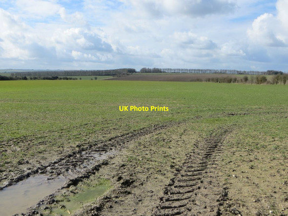 Photo 6"x4" Tracks in the Field Woolstone\/SU2987 c2016