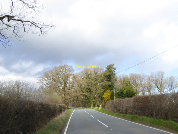 Photo 6"x4" A3072 passing woodland at Pulworthy Highampton c2016