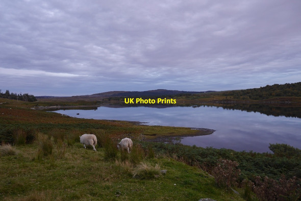Photo 6"x4" Loch Naver Coill Ach' a' Ch\u00f9il c2015