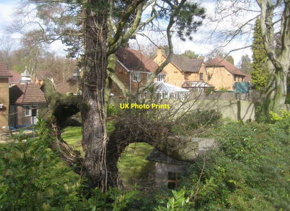 Photo 6"x4" Houses in Queen Victoria Court Farnborough\/SU8754 c2016