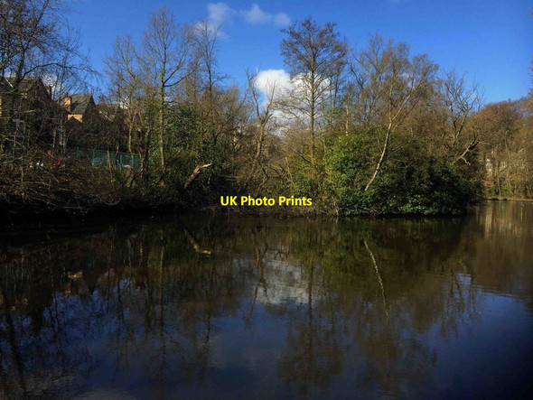 Photo 6"x4" Reflections of Spring Greystones\/SK3285 c2016