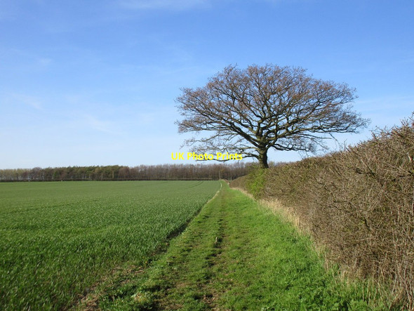 Photo 6"x4" Bridleway to Kilnwick Kilnwick c2016