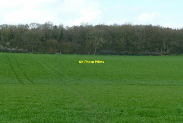 Photo 6"x4" Footpath towards Town Wood Laxton\/SP9496 c2016