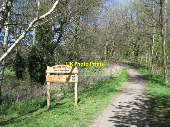 Photo 6"x4" Nature Reserve, Otterspool Aigburth c2016