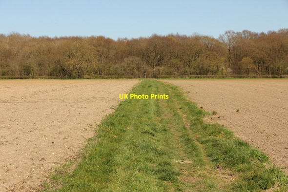 Photo 6"x4" Footpath to Scotgrove Wood Bardney c2016