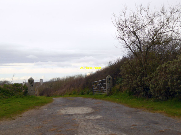 Photo 6"x4" Track to Collery Stibb c2016