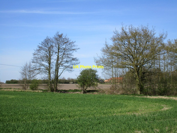Photo 6"x4" Fields near Common Farm Water End\/SE7838 c2016