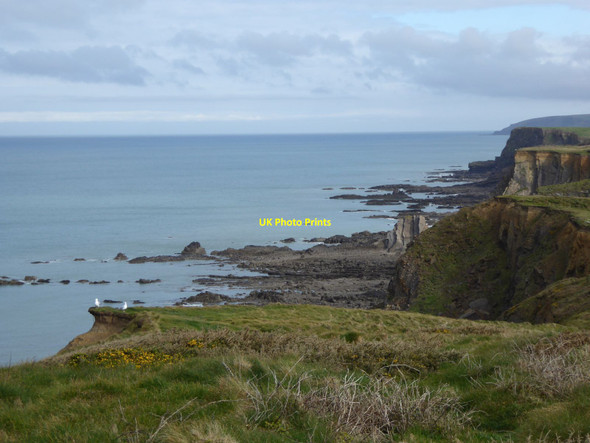 Photo 6"x4" Cliffs and rocks at Upton, south of Bude Bude\/SS2106 c2016
