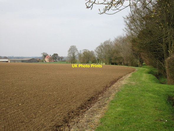 Photo 6"x4" Footpath by the Old Rectory Brook Green\/TL8658 c2016