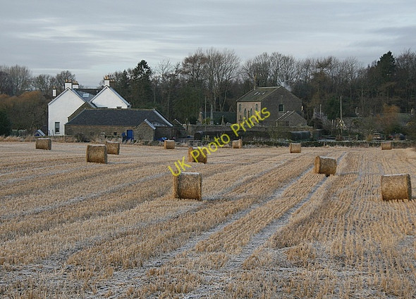 Photo 6"x4" Frosty bales, Kirkton of Kinnettles Kirkton\/NO4246 c2009