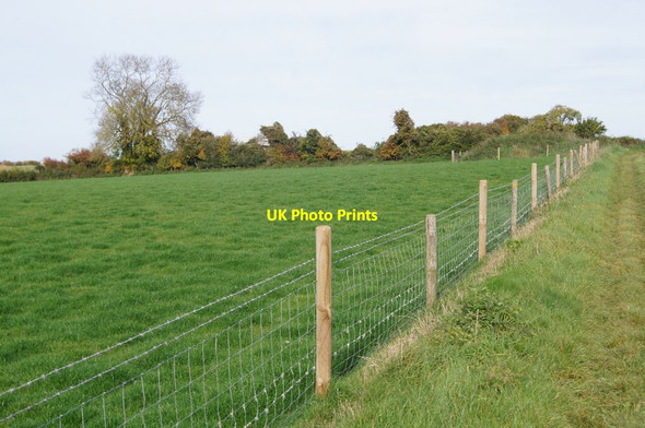 Photo 6"x4" New fencing - Wonston Manor Farm Wonston\/SU4739 c2015