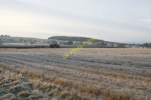 Photo 6"x4" Preparing for Spring Douglastown c2009