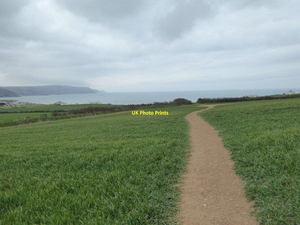 Photo 6"x4" Track across field north of Widemouth Bay Widemouth Bay c2016