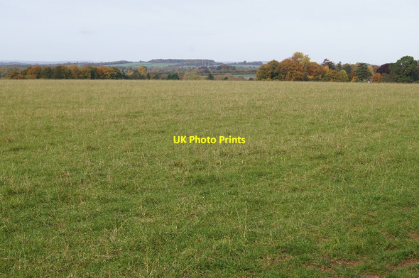 Photo 6"x4" Pasture west of the bridleway Wonston\/SU4739 c2015 P3