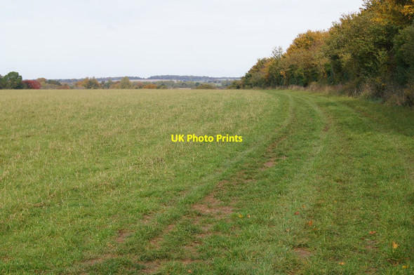 Photo 6"x4" Pasture west of the bridleway Wonston\/SU4739 c2015 P4
