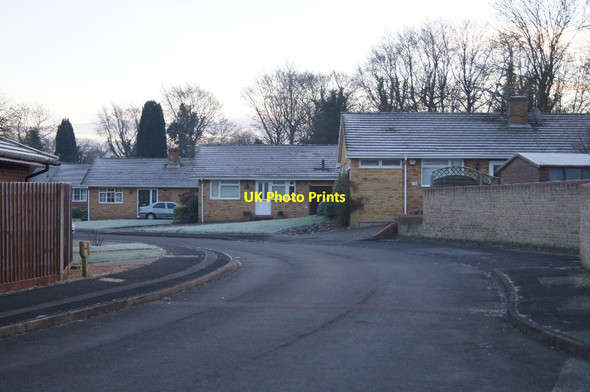 Photo 6"x4" Frosty morning - Kings Orchard Pardown c2016