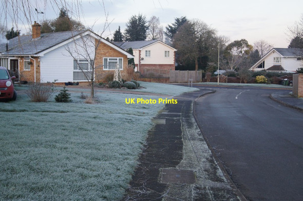 Photo 6"x4" Frosty morning - Kings Orchard Pardown c2016 P1