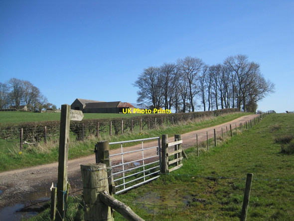 Photo 6"x4" Farm Buildings, Mile Moor Farm and Footpath Sign Eslington Park c2016