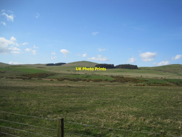 Photo 6"x4" Farmland and view towards Gibb's Hill Eslington Park c2016