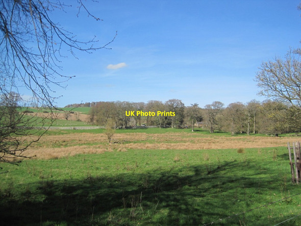 Photo 6"x4" Farmland and View Across Eslington Park Eslington Park c2016