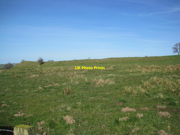 Photo 6"x4" Whittonlea Quarry (disused) Whittingham c2016