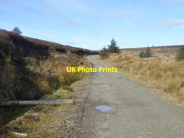 Photo 6"x4" Forestry road in the  Slieve Bloom Cadamstown c2016