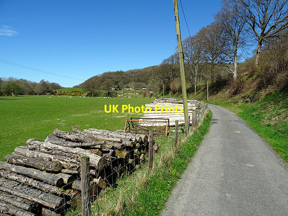 Photo 6"x4" Timber stack beside the Ystwyth Trail Llanilar c2016