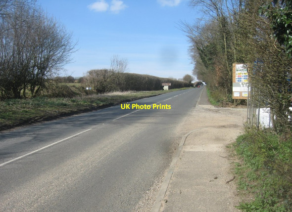 Photo 6"x4" Worting Road (B3400) Buckskin c2016
