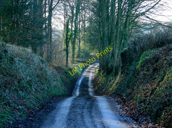 Photo 6"x4" 2009 : Shepherd's Lane East Woodlands\/ST7844 c2009