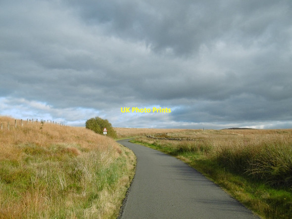 Photo 6"x4" Langholm to Newcastleton road Tarras Rig c2015