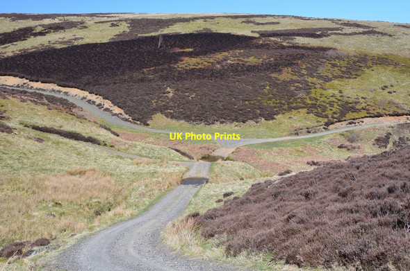 Photo 6"x4" Track junctions, Ladyside Burn Peatrig Hill c2016