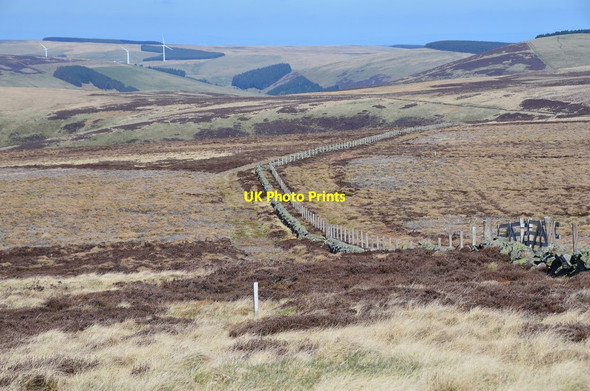 Photo 6"x4" Fence on Rawburn Head Dun Law\/NT3748 c2016