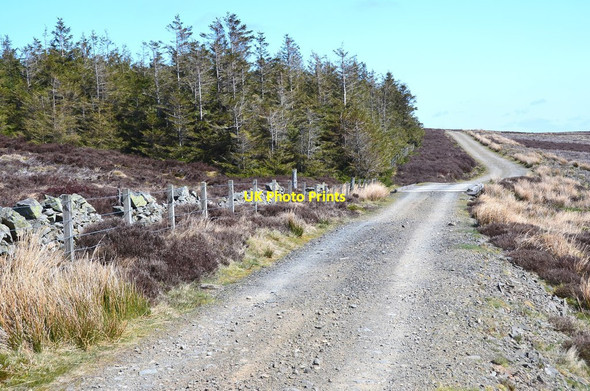 Photo 6"x4" Hill track at George Wood Nether Shiels\/NT4146 c2016