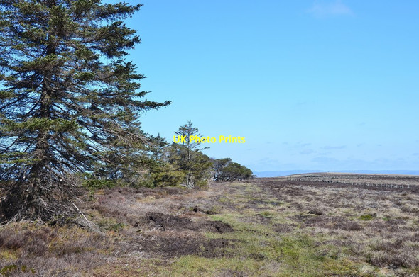 Photo 6"x4" George Wood, Mount Main Nether Shiels\/NT4146 c2016